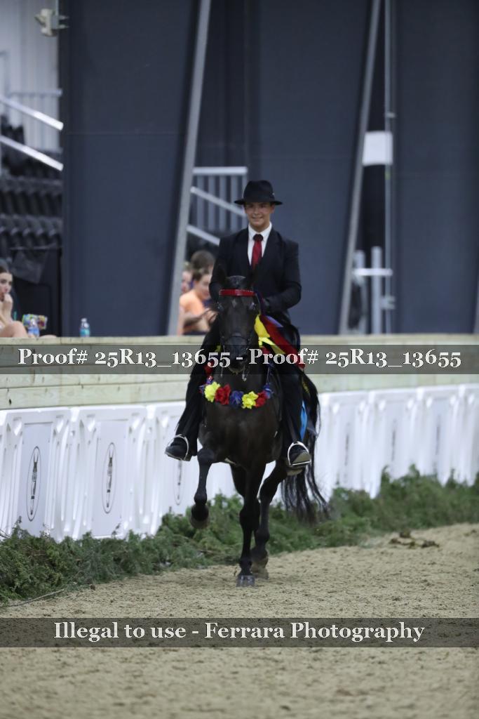 Proof 25R13_13655