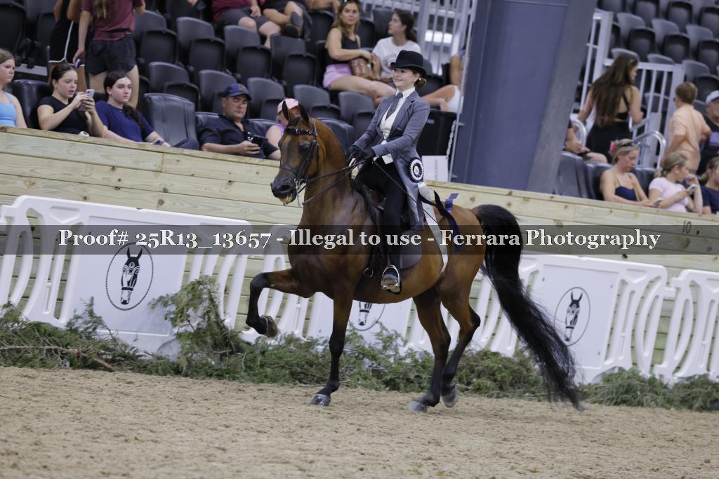 Proof 25R13_13657
