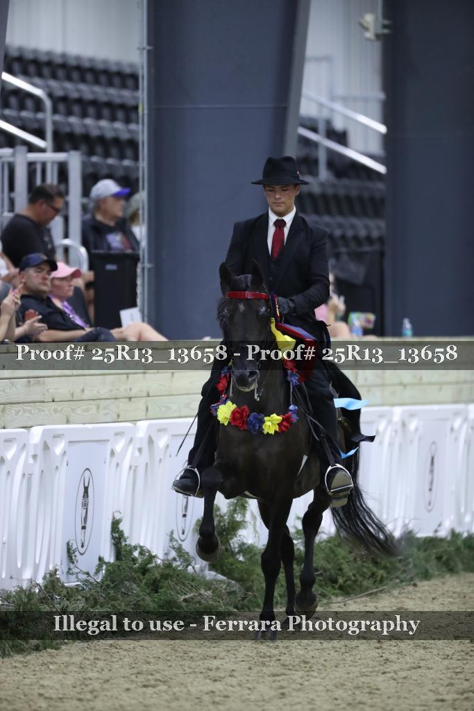 Proof 25R13_13658