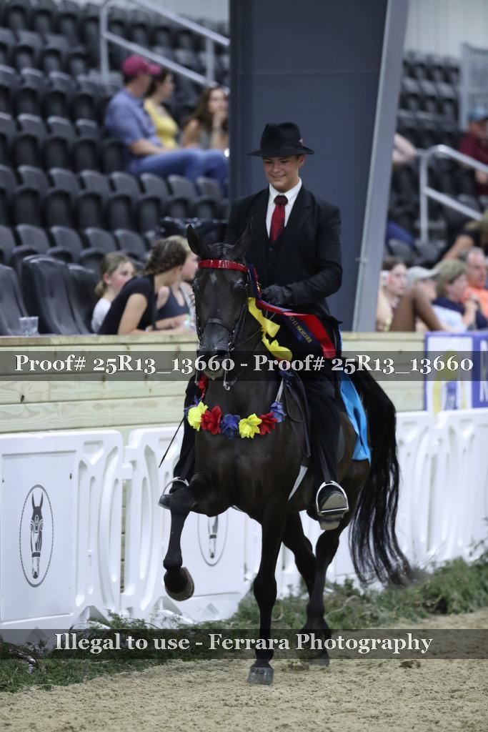 Proof 25R13_13660