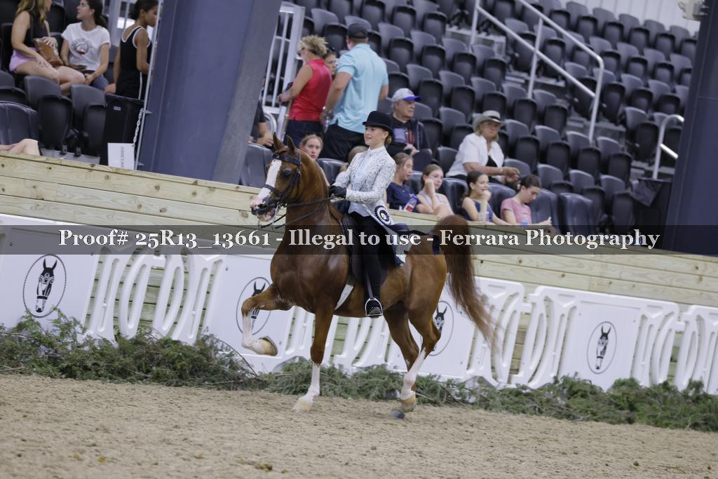 Proof 25R13_13661