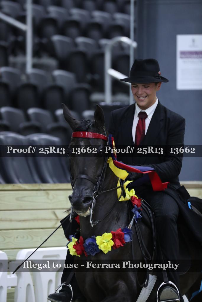 Proof 25R13_13662