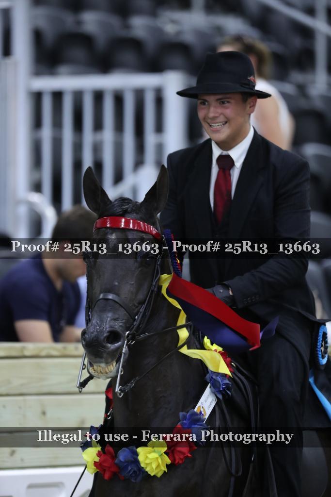 Proof 25R13_13663