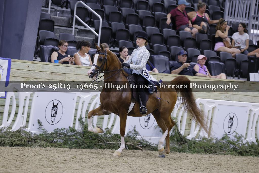 Proof 25R13_13665