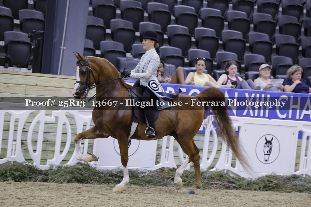 Proof 25R13_13667