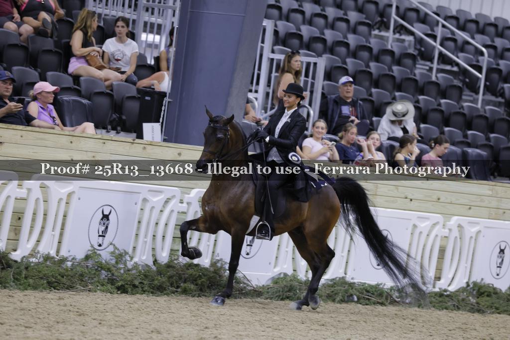 Proof 25R13_13668
