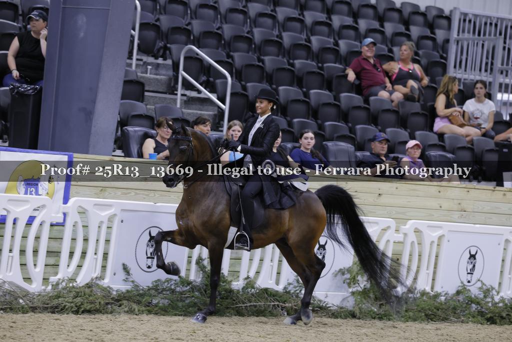 Proof 25R13_13669