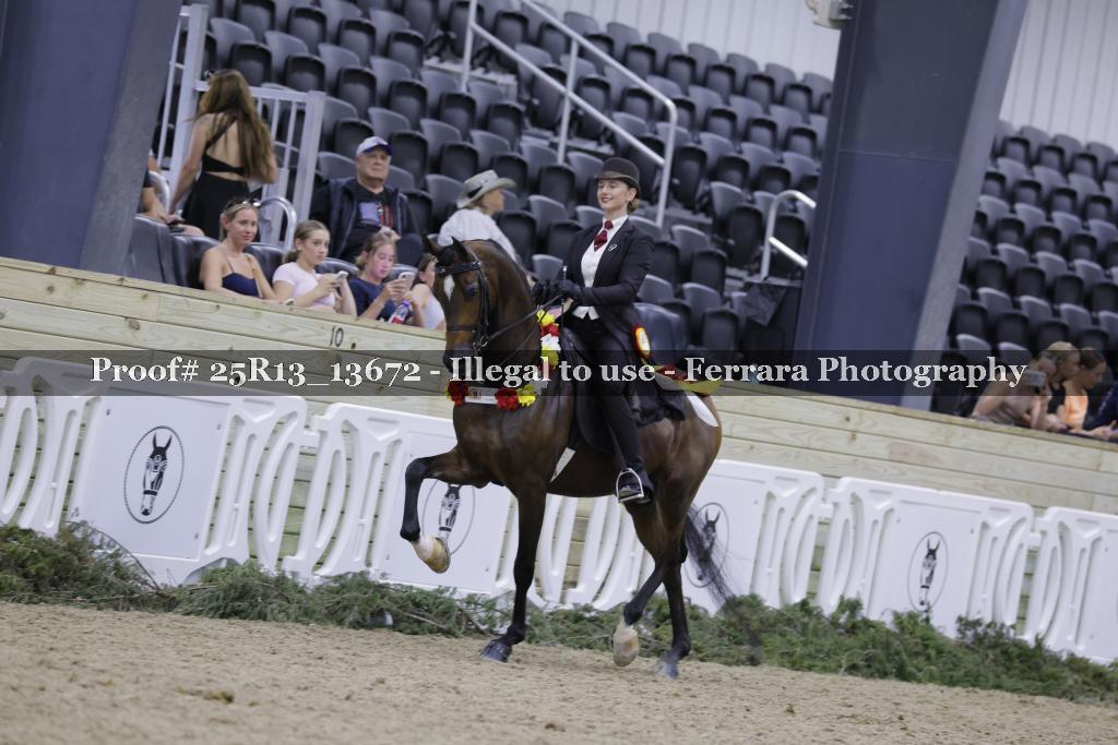 Proof 25R13_13672