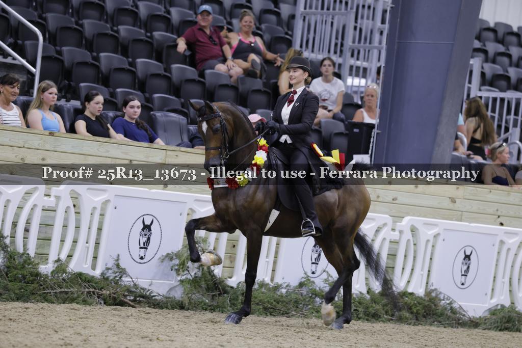 Proof 25R13_13673