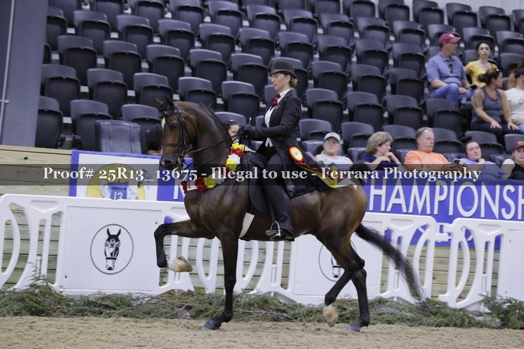 Proof 25R13_13675