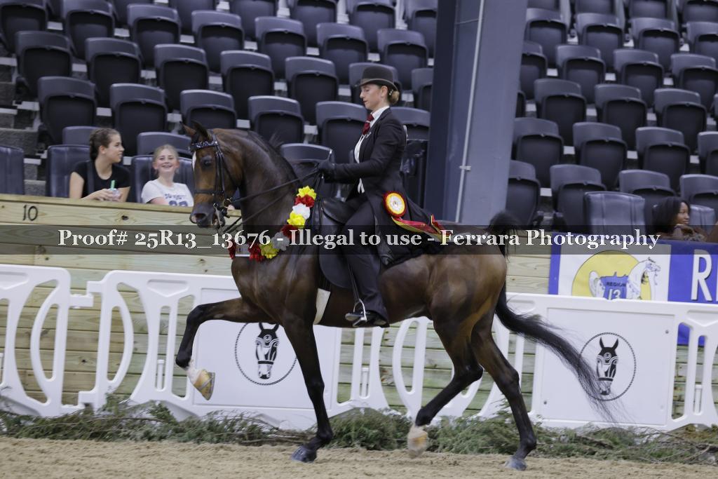 Proof 25R13_13676