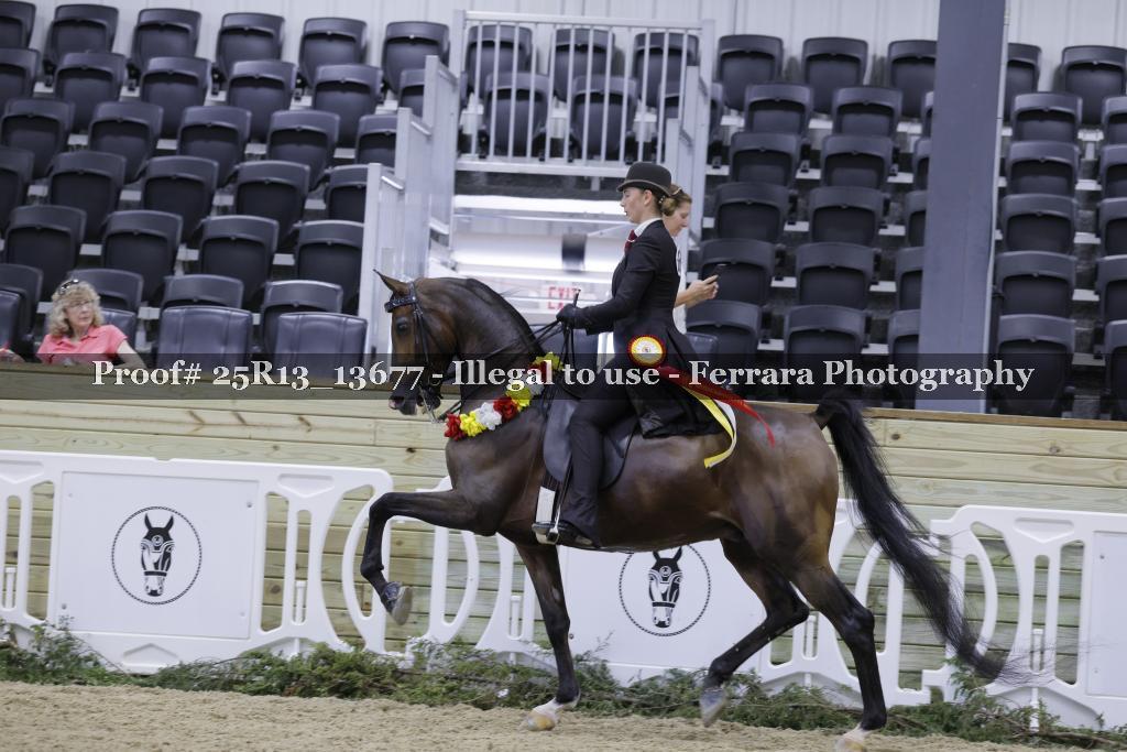 Proof 25R13_13677
