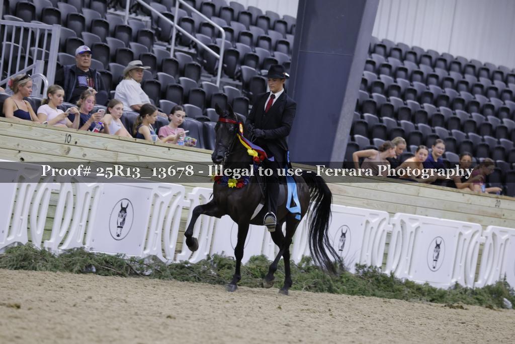 Proof 25R13_13678