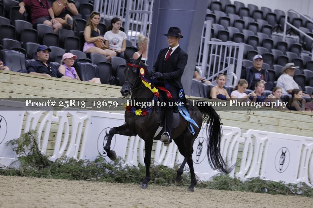 Proof 25R13_13679