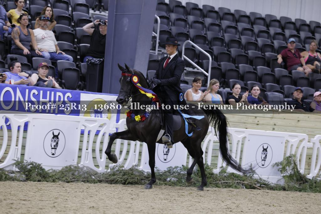 Proof 25R13_13680