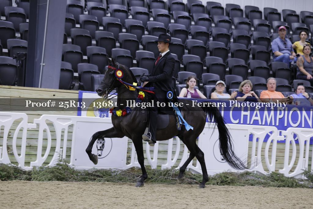 Proof 25R13_13681