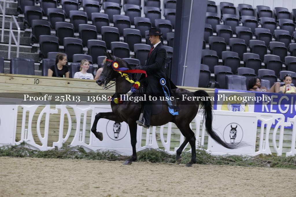 Proof 25R13_13682