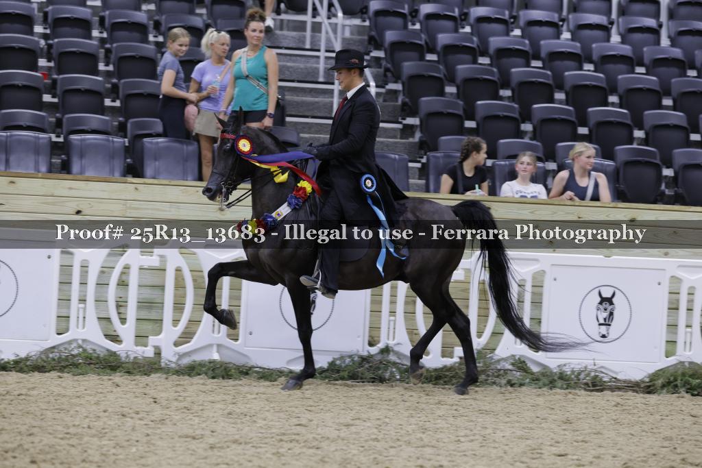 Proof 25R13_13683
