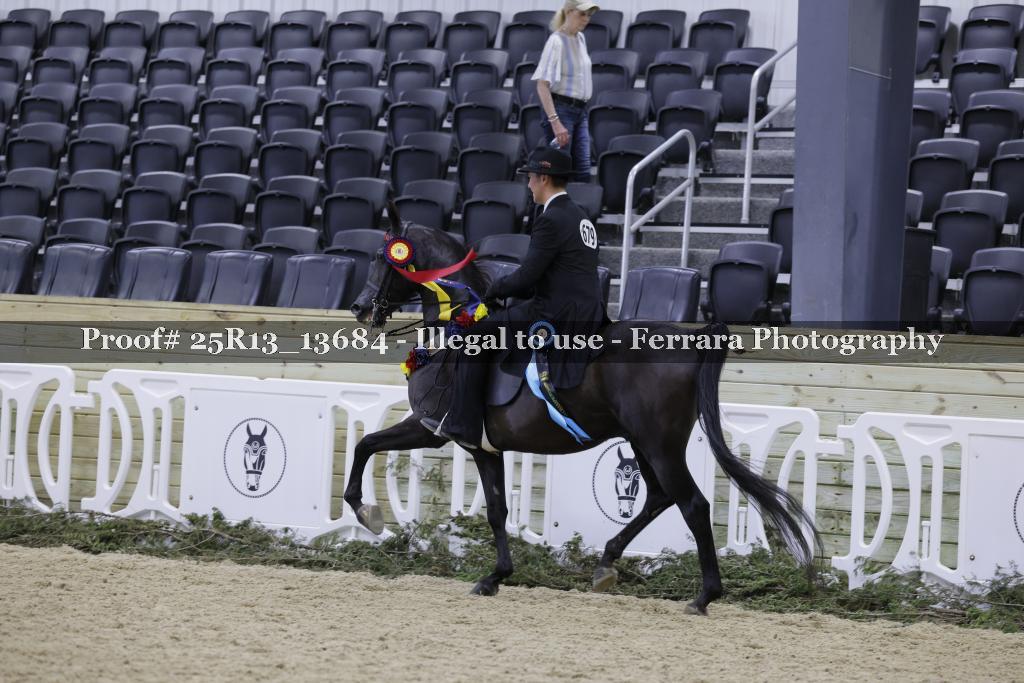 Proof 25R13_13684