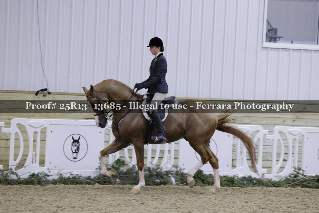 Proof 25R13_13685