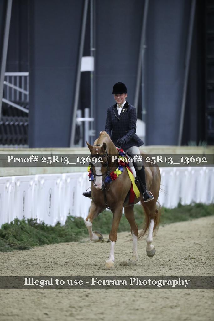 Proof 25R13_13692