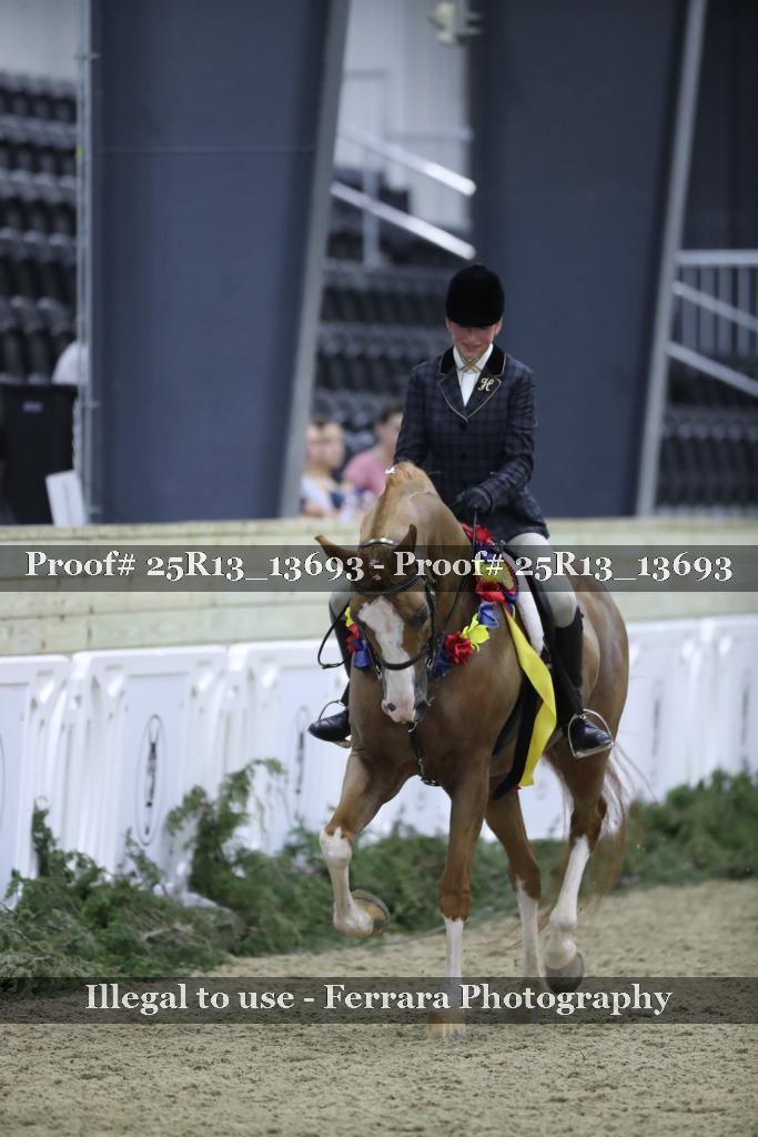 Proof 25R13_13693