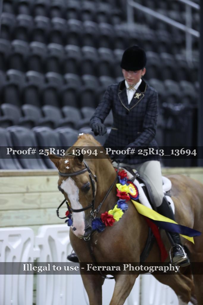Proof 25R13_13694