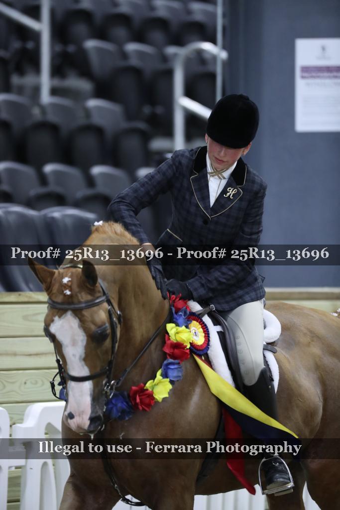 Proof 25R13_13696