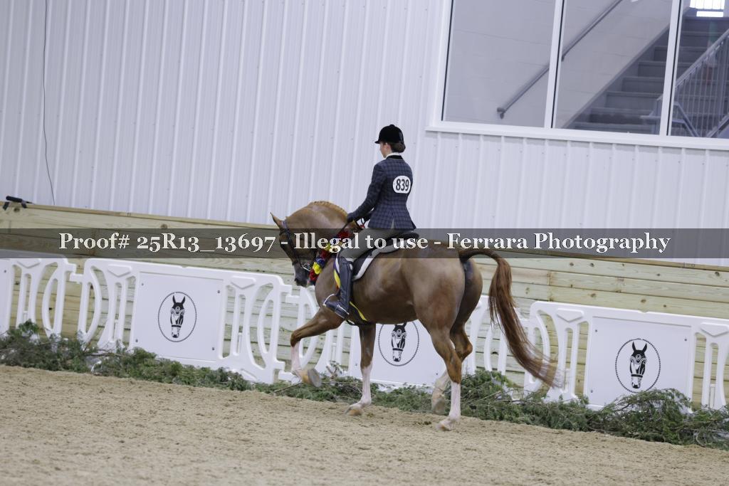 Proof 25R13_13697