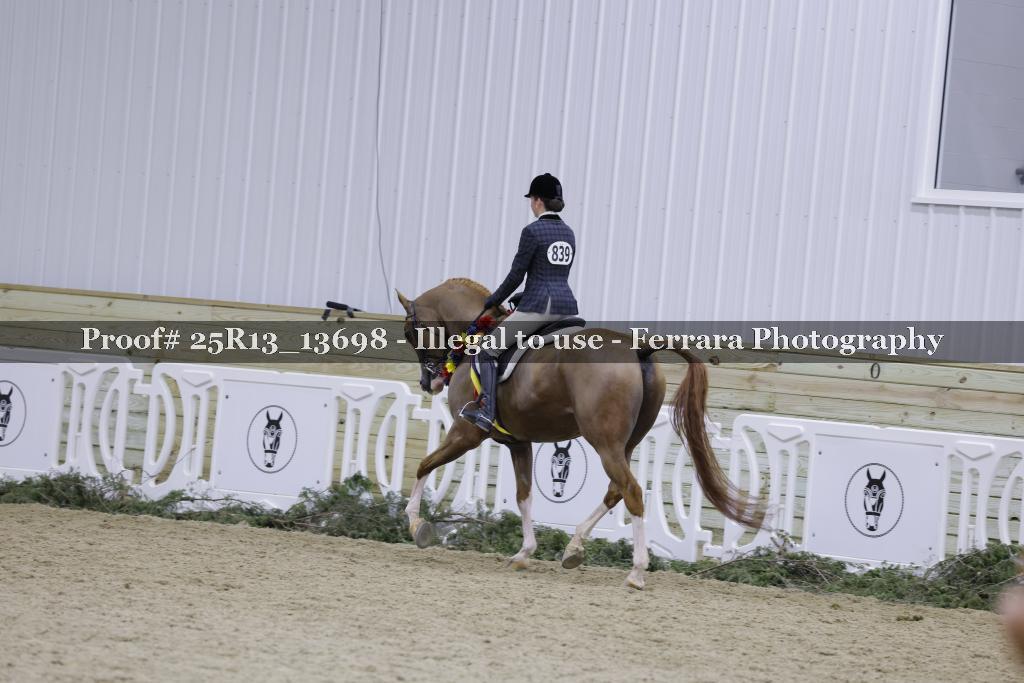 Proof 25R13_13698