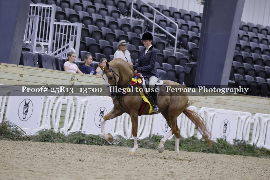 Proof 25R13_13700