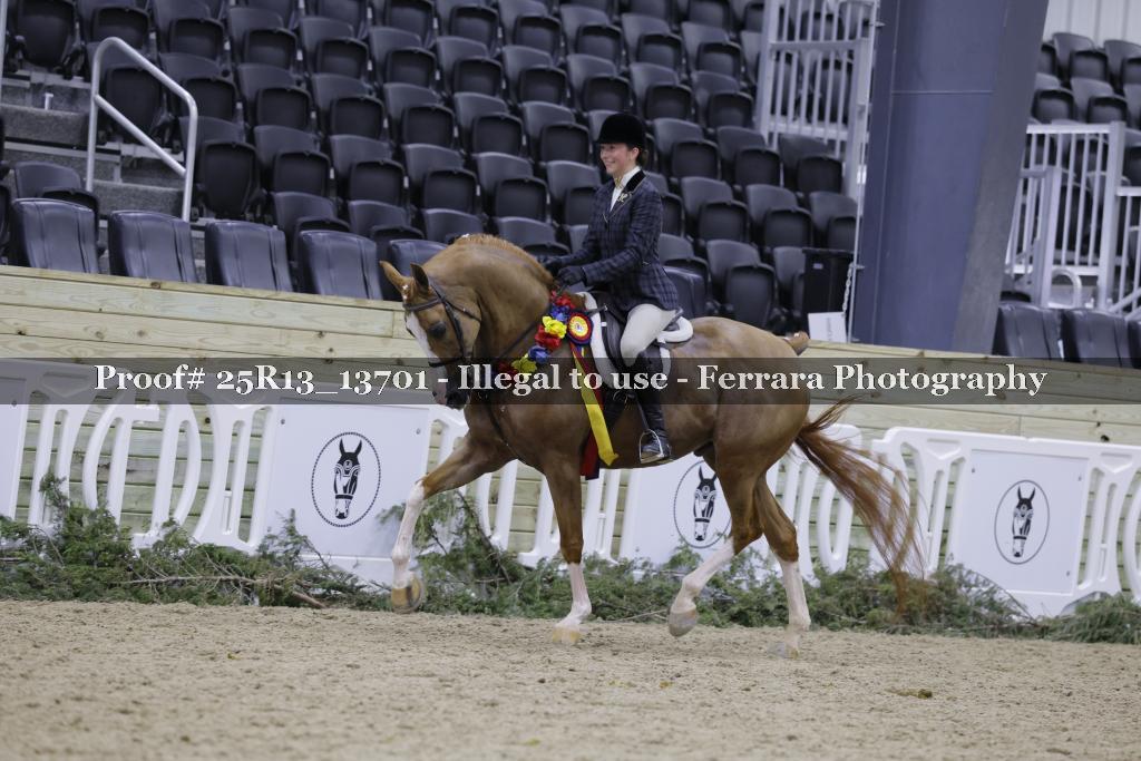 Proof 25R13_13701