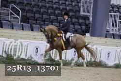 25R13_13701 proof