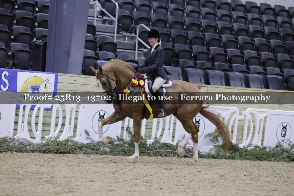 Proof 25R13_13702