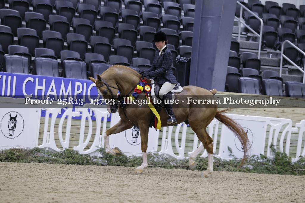 Proof 25R13_13703