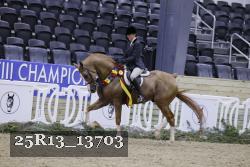 25R13_13703 proof
