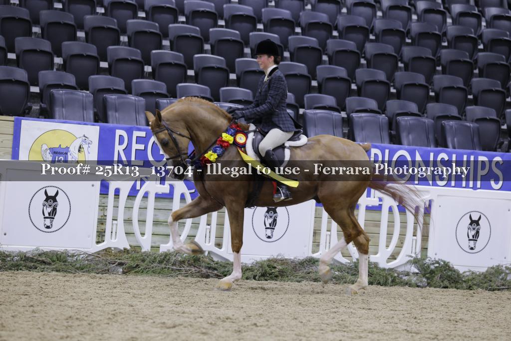 Proof 25R13_13704