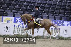 25R13_13704 proof