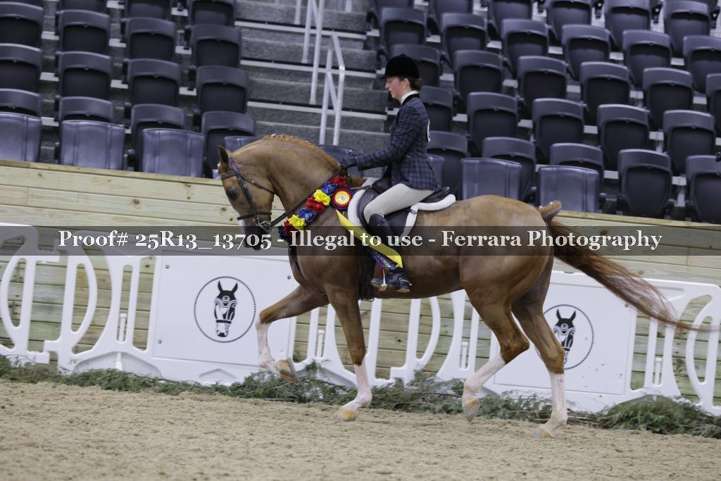 Proof 25R13_13705