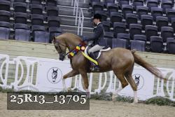 25R13_13705 proof