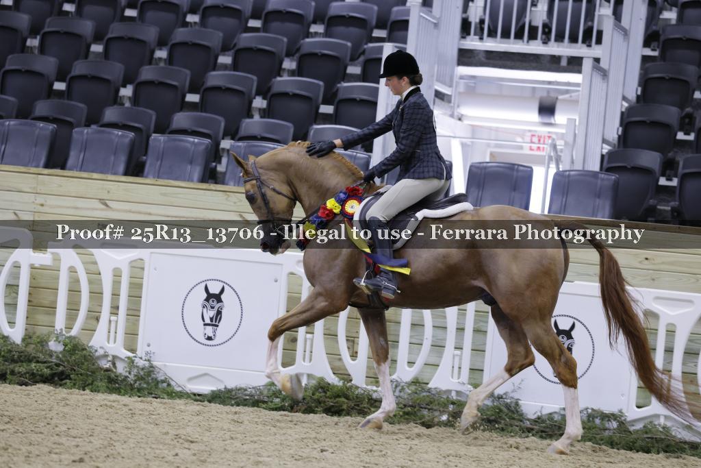 Proof 25R13_13706