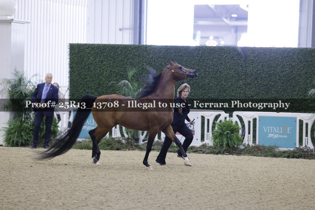 Proof 25R13_13708