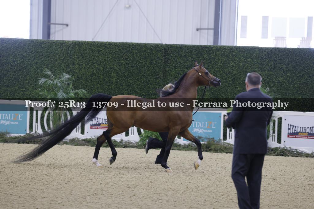 Proof 25R13_13709