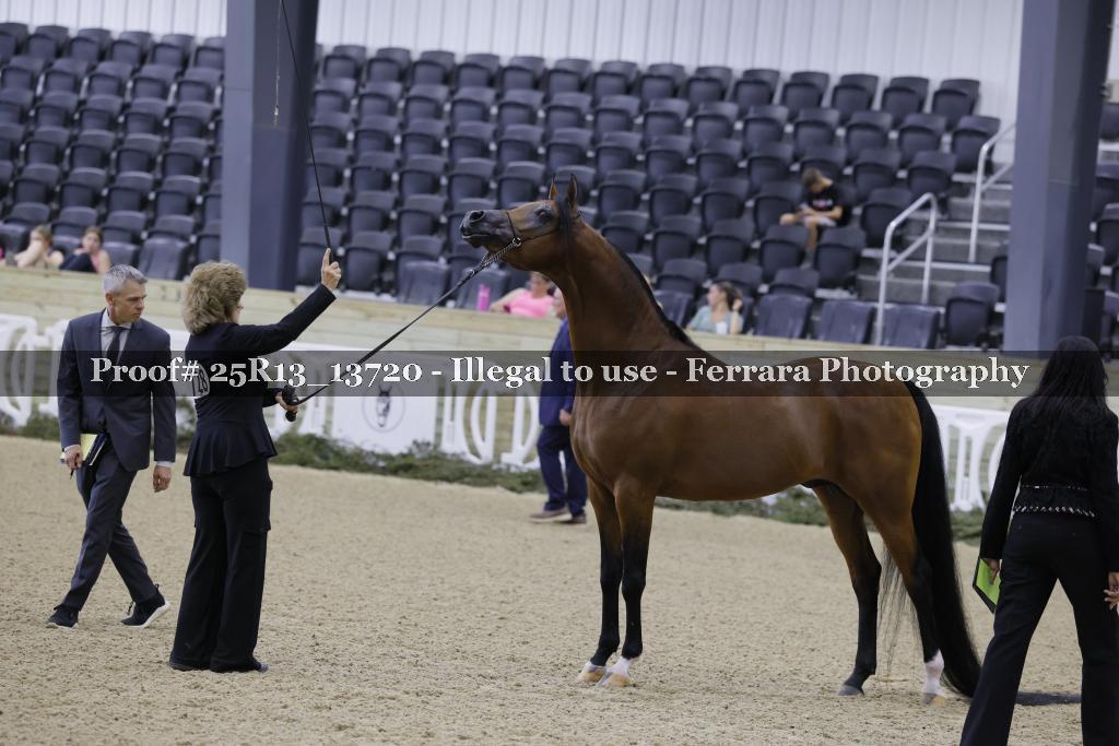 Proof 25R13_13720