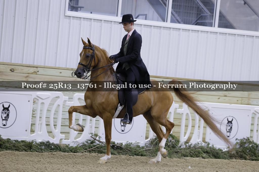 Proof 25R13_13761