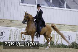 25R13_13761 proof