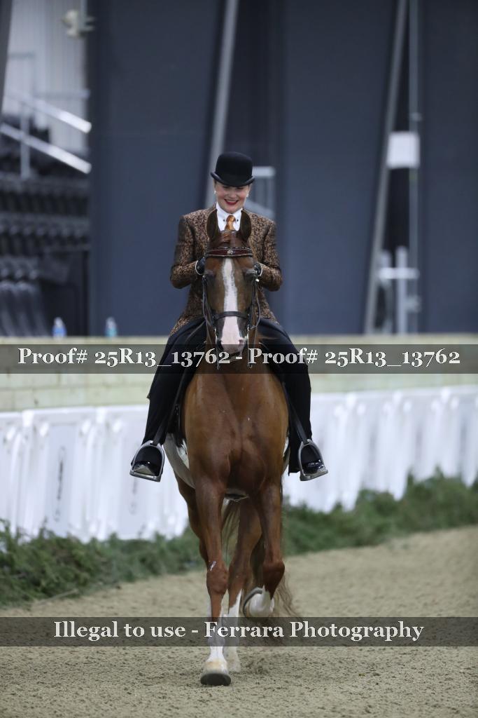 Proof 25R13_13762
