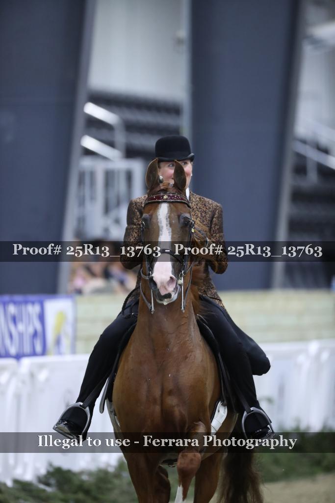 Proof 25R13_13763