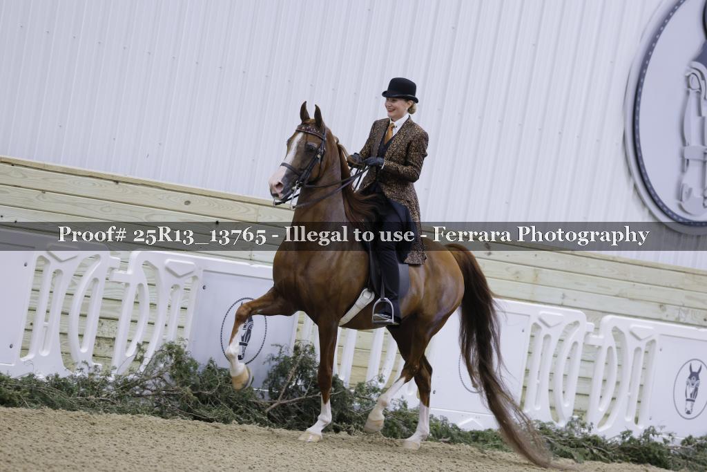 Proof 25R13_13765
