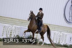 25R13_13765 proof